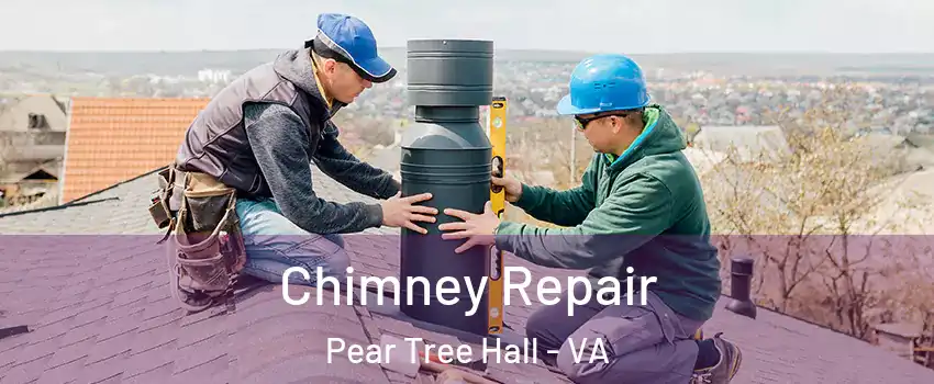 Chimney Repair Pear Tree Hall - VA