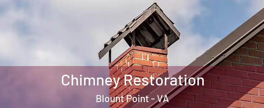 Chimney Restoration Blount Point - VA