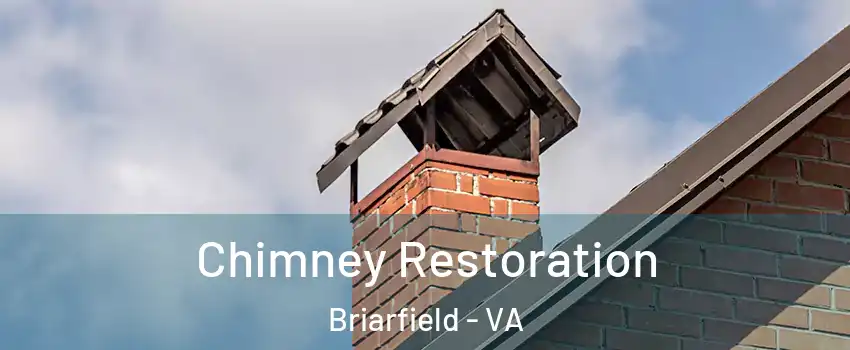 Chimney Restoration Briarfield - VA