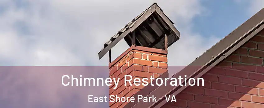 Chimney Restoration East Shore Park - VA