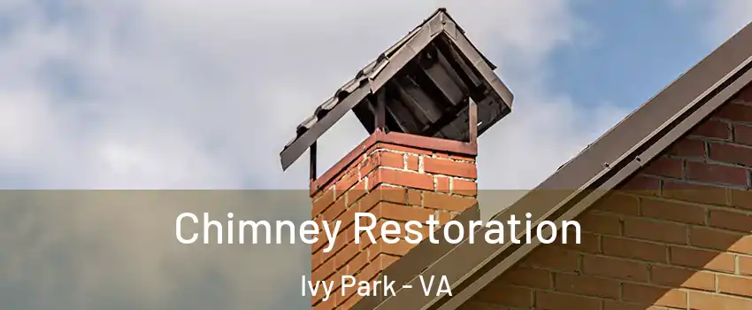 Chimney Restoration Ivy Park - VA