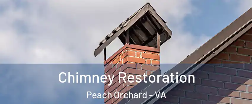 Chimney Restoration Peach Orchard - VA