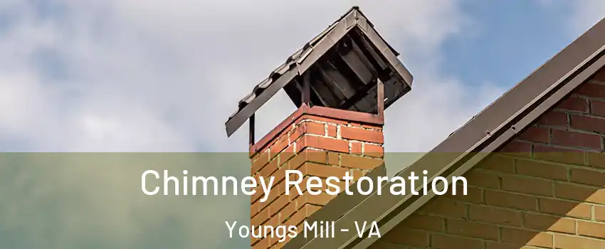 Chimney Restoration Youngs Mill - VA