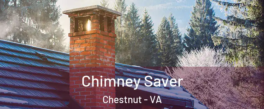 Chimney Saver Chestnut - VA