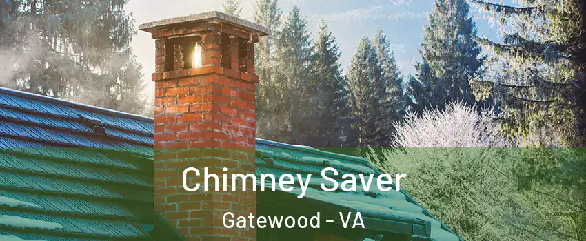 Chimney Saver Gatewood - VA