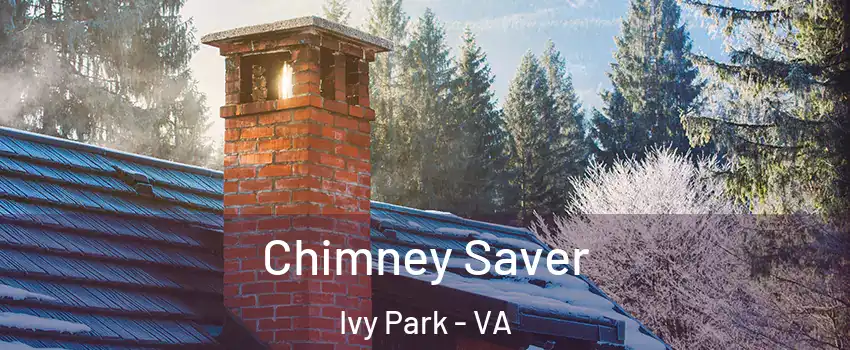 Chimney Saver Ivy Park - VA