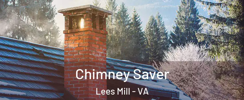 Chimney Saver Lees Mill - VA