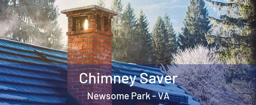 Chimney Saver Newsome Park - VA