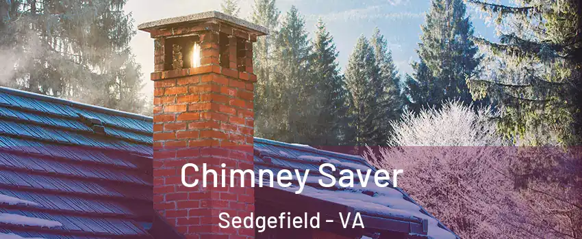 Chimney Saver Sedgefield - VA