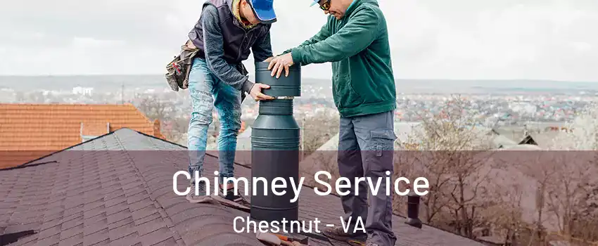 Chimney Service Chestnut - VA
