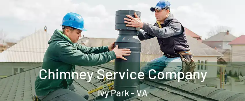 Chimney Service Company Ivy Park - VA