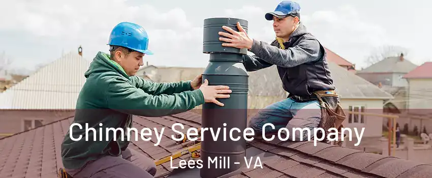 Chimney Service Company Lees Mill - VA