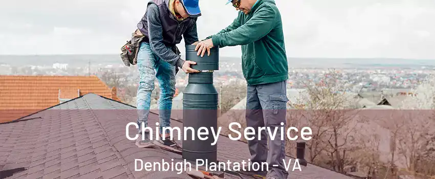 Chimney Service Denbigh Plantation - VA