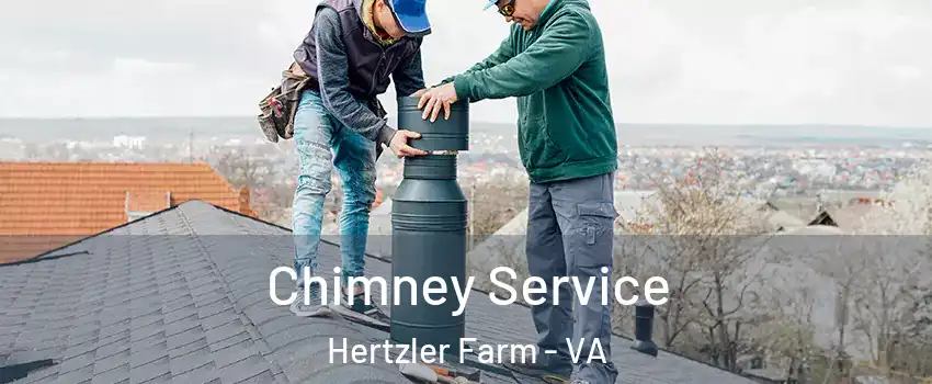 Chimney Service Hertzler Farm - VA