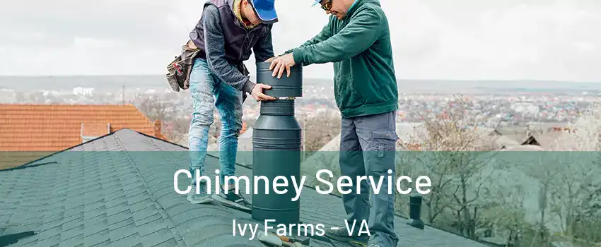 Chimney Service Ivy Farms - VA