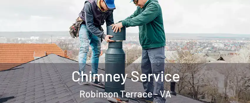Chimney Service Robinson Terrace - VA