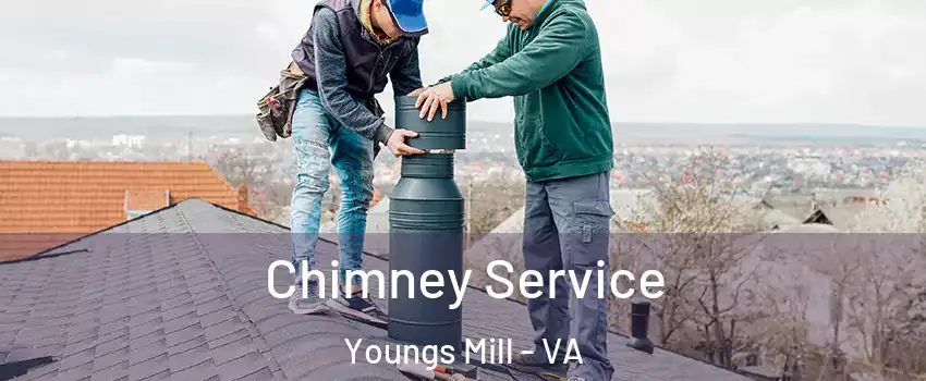 Chimney Service Youngs Mill - VA