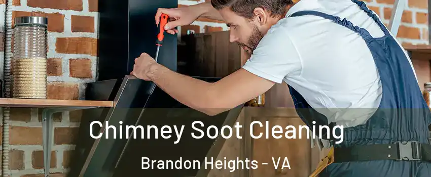 Chimney Soot Cleaning Brandon Heights - VA