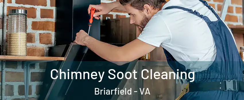 Chimney Soot Cleaning Briarfield - VA
