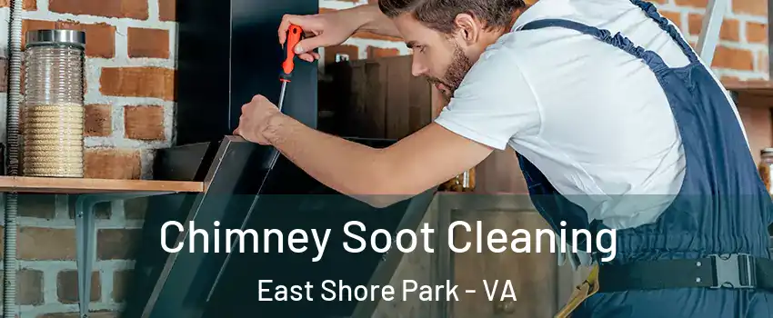 Chimney Soot Cleaning East Shore Park - VA