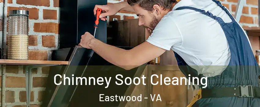 Chimney Soot Cleaning Eastwood - VA
