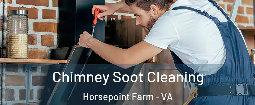 Chimney Soot Cleaning Horsepoint Farm - VA