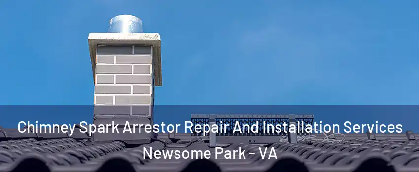 Chimney Spark Arrestor Repair And Installation Services Newsome Park - VA