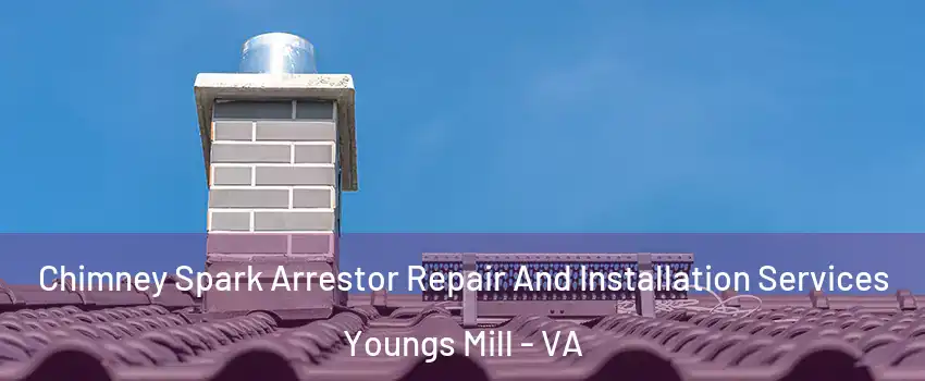 Chimney Spark Arrestor Repair And Installation Services Youngs Mill - VA