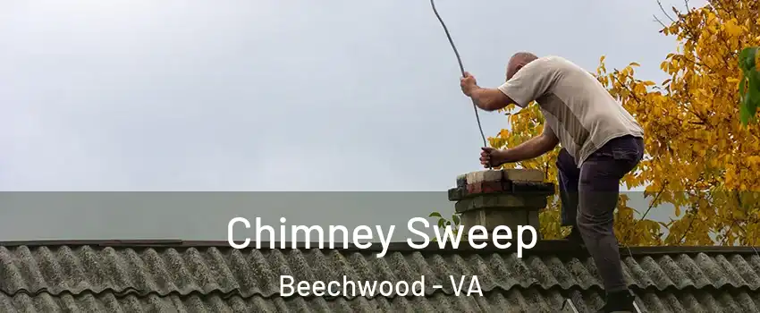 Chimney Sweep Beechwood - VA