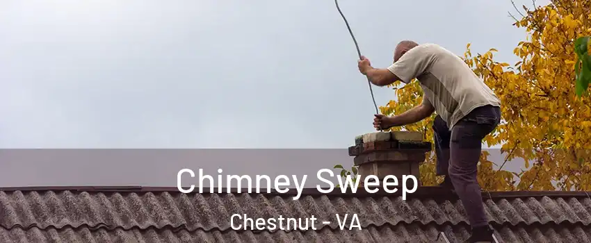 Chimney Sweep Chestnut - VA