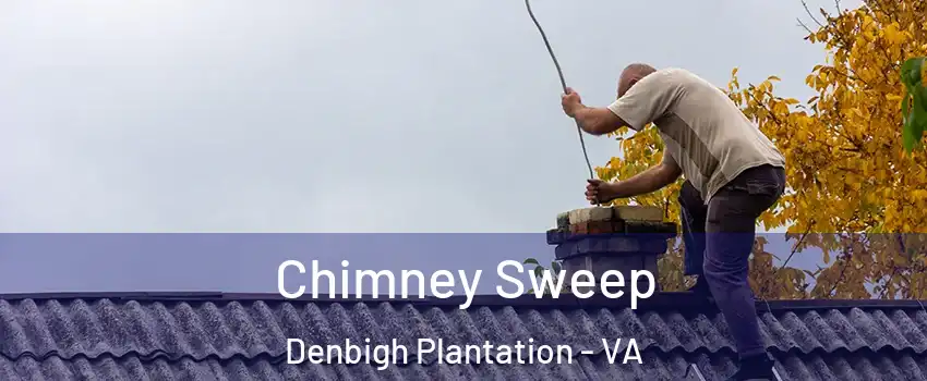 Chimney Sweep Denbigh Plantation - VA