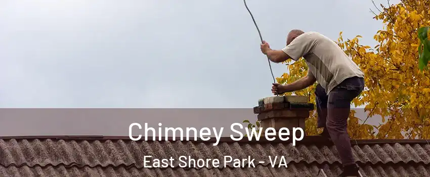 Chimney Sweep East Shore Park - VA