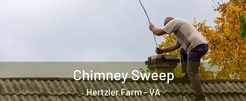 Chimney Sweep Hertzler Farm - VA