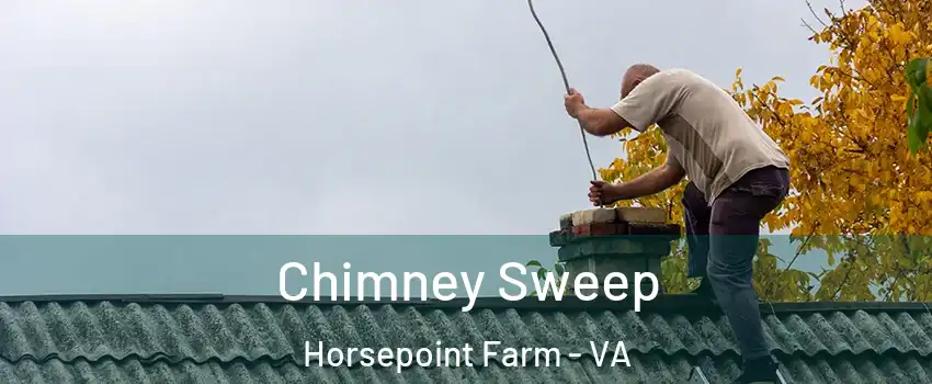Chimney Sweep Horsepoint Farm - VA