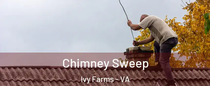 Chimney Sweep Ivy Farms - VA