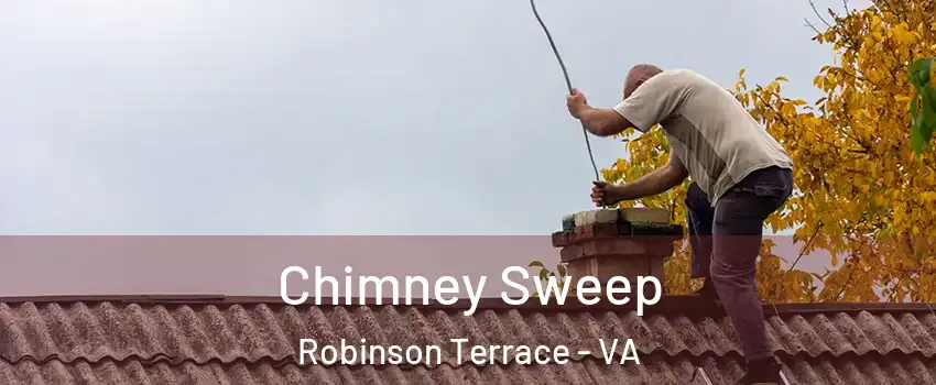 Chimney Sweep Robinson Terrace - VA