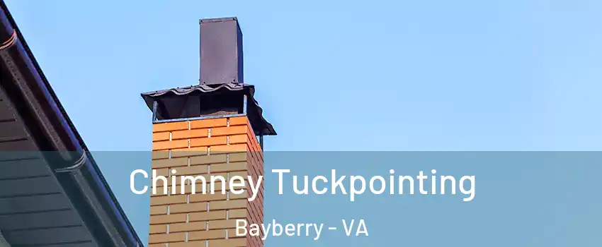 Chimney Tuckpointing Bayberry - VA
