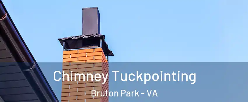 Chimney Tuckpointing Bruton Park - VA