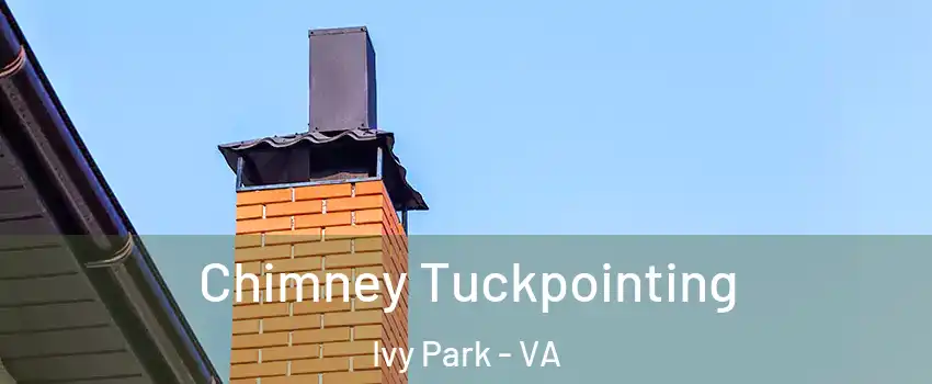 Chimney Tuckpointing Ivy Park - VA
