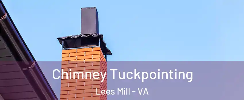 Chimney Tuckpointing Lees Mill - VA