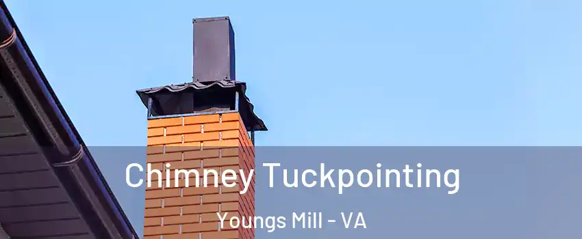 Chimney Tuckpointing Youngs Mill - VA