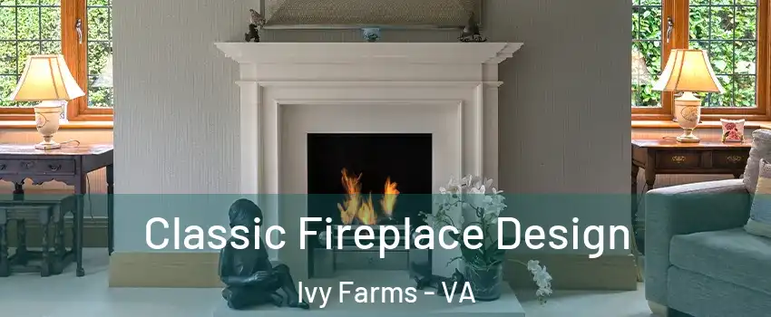 Classic Fireplace Design Ivy Farms - VA