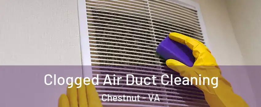 Clogged Air Duct Cleaning Chestnut - VA