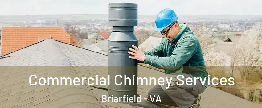 Commercial Chimney Services Briarfield - VA