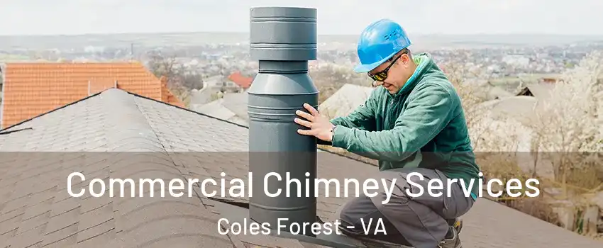 Commercial Chimney Services Coles Forest - VA