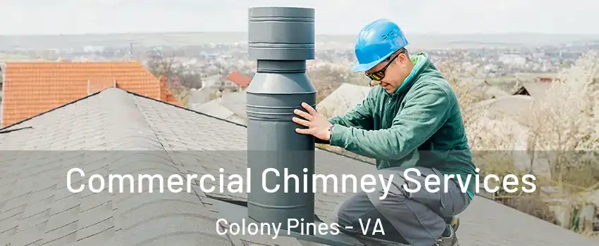 Commercial Chimney Services Colony Pines - VA