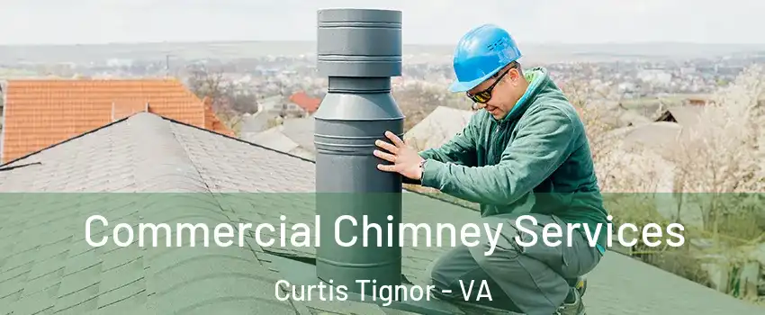 Commercial Chimney Services Curtis Tignor - VA