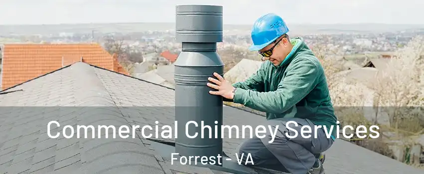 Commercial Chimney Services Forrest - VA