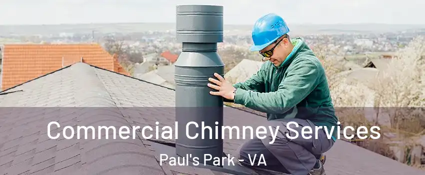 Commercial Chimney Services Paul's Park - VA