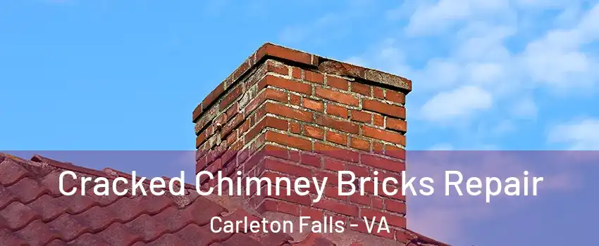 Cracked Chimney Bricks Repair Carleton Falls - VA